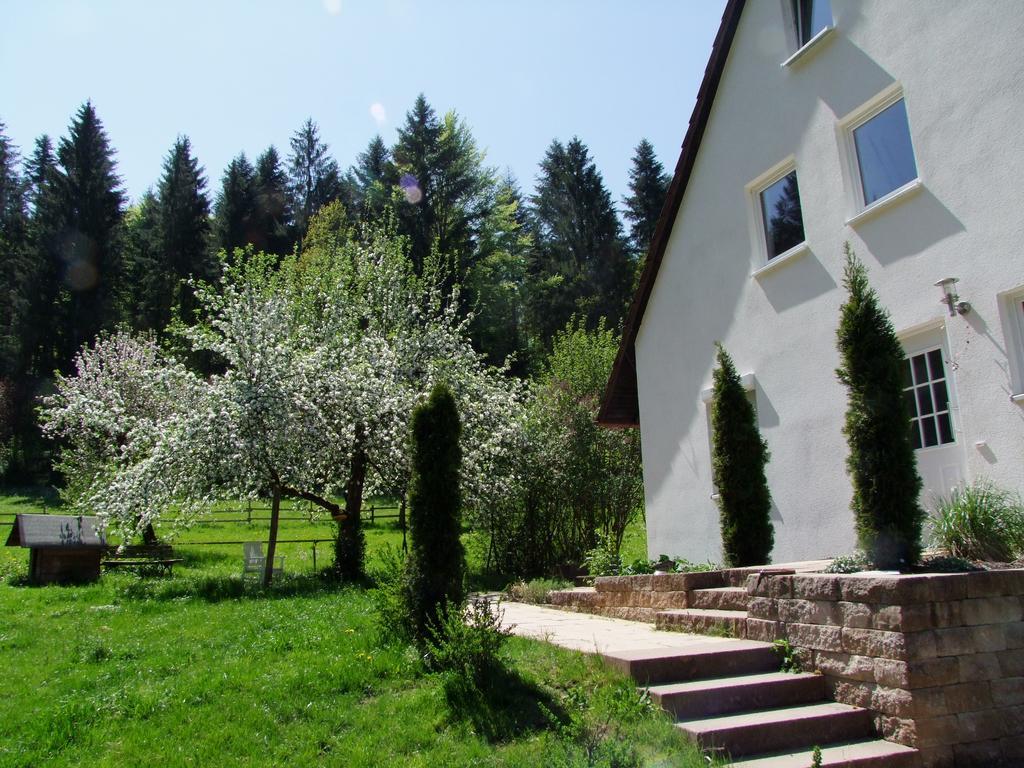 Wonderworld Apartment Alfdorf Bagian luar foto